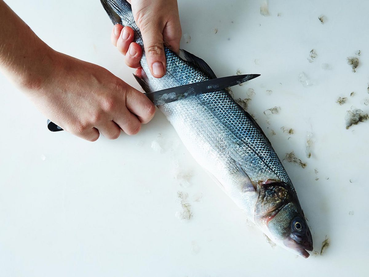 A Fisher's Best Friend - Their Fishing Knife