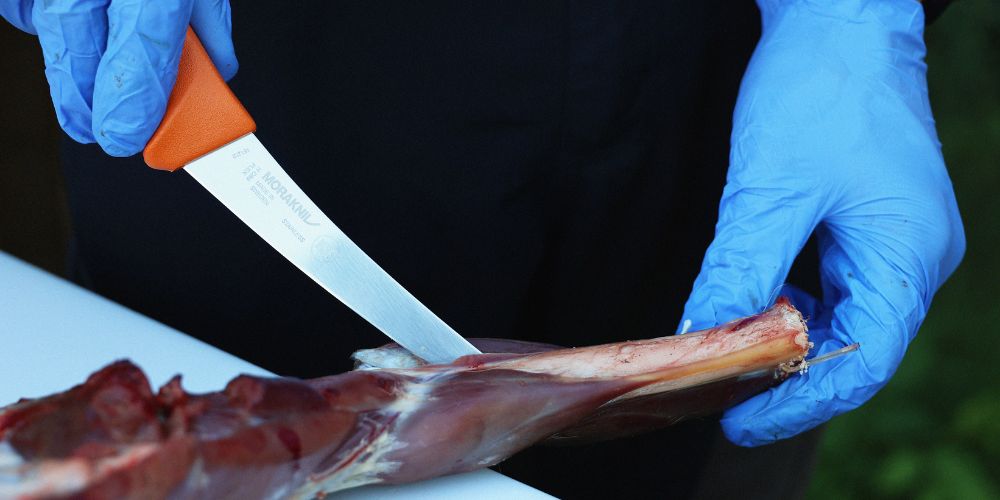 Best steel types for hunting knife blades