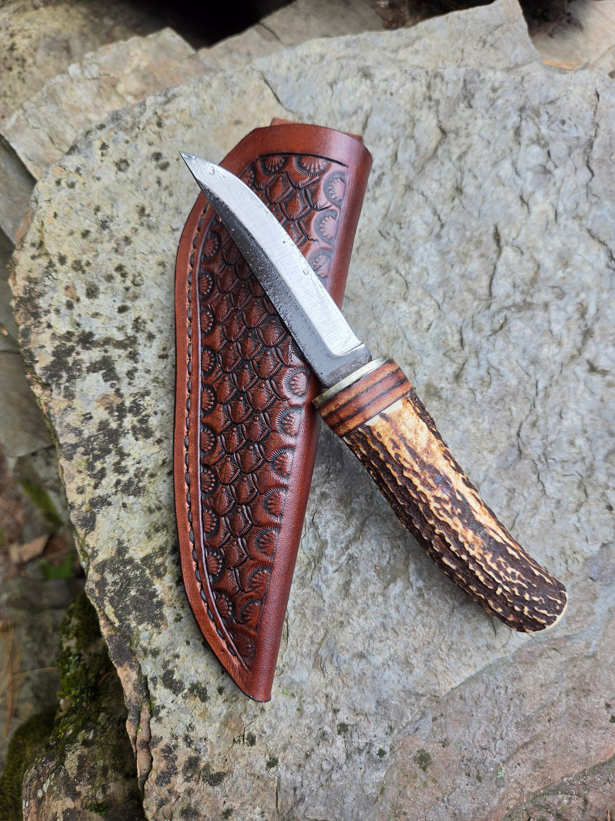 Pecks Woods Leather - Whitetail Antler / Leather #187