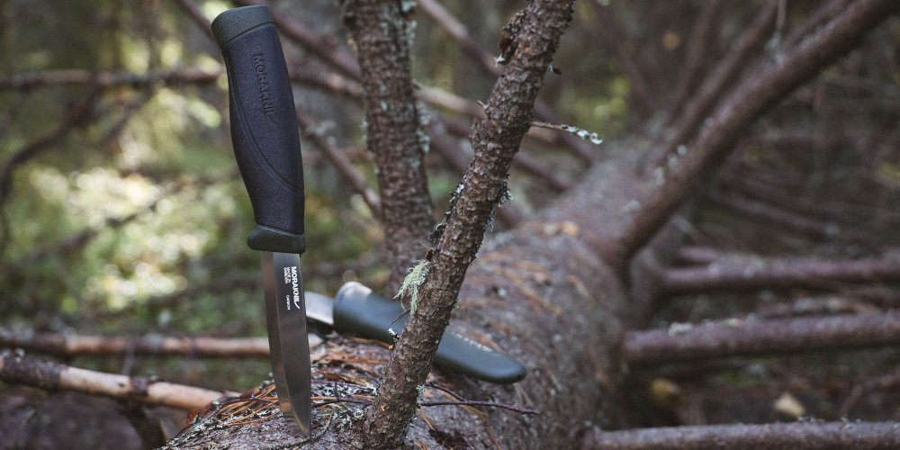 Best Bushcraft Knives for Beginners: What to Look for Before You Buy