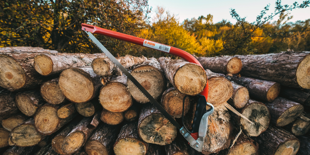 How to choose the best saw for camping and bushcraft: folding saw vs. bow saw