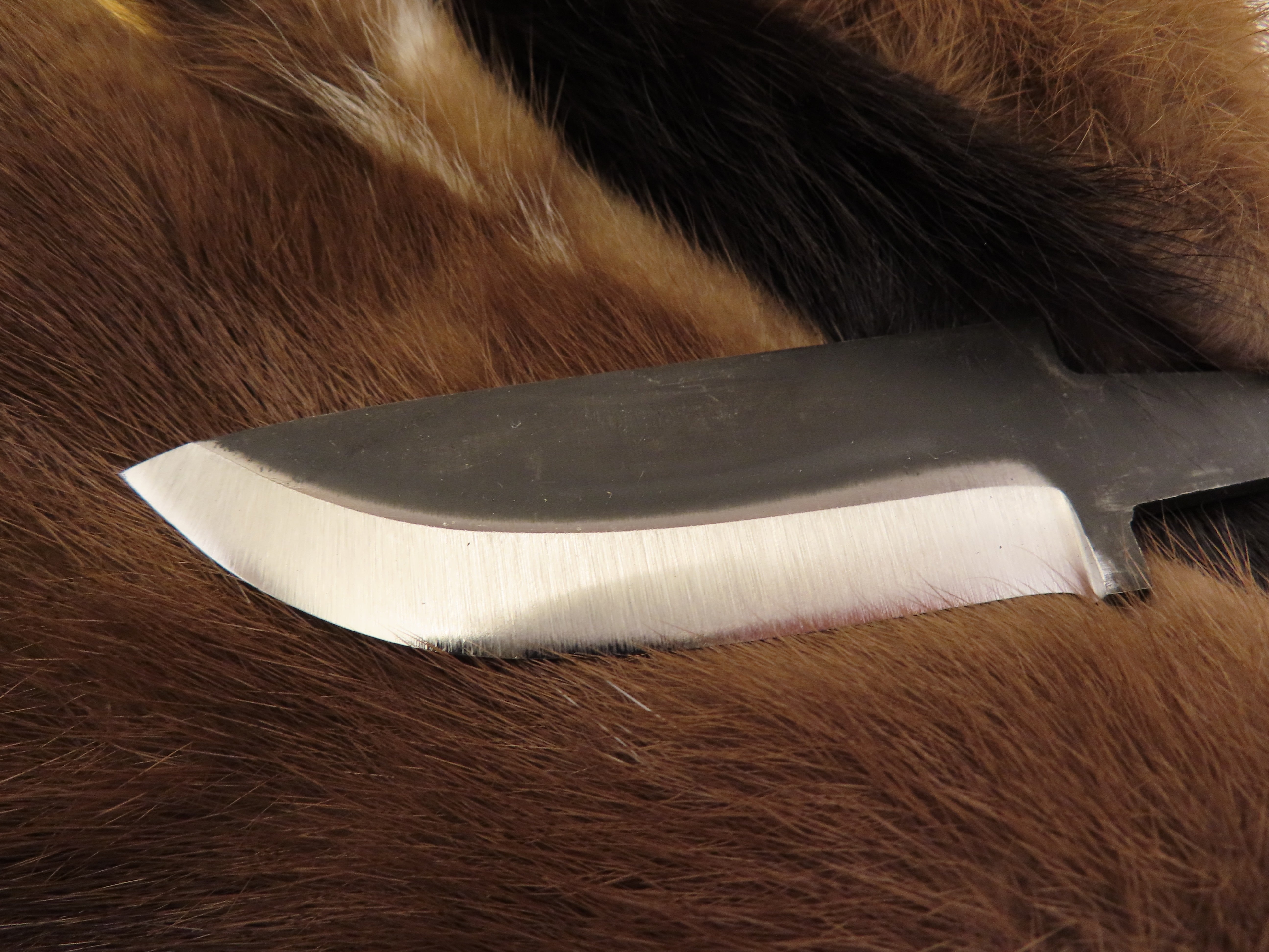 Lauri Small Skinner 82 Carbon Steel Blade with Ricasso (True Scandi with 0 Secondary Bevel)