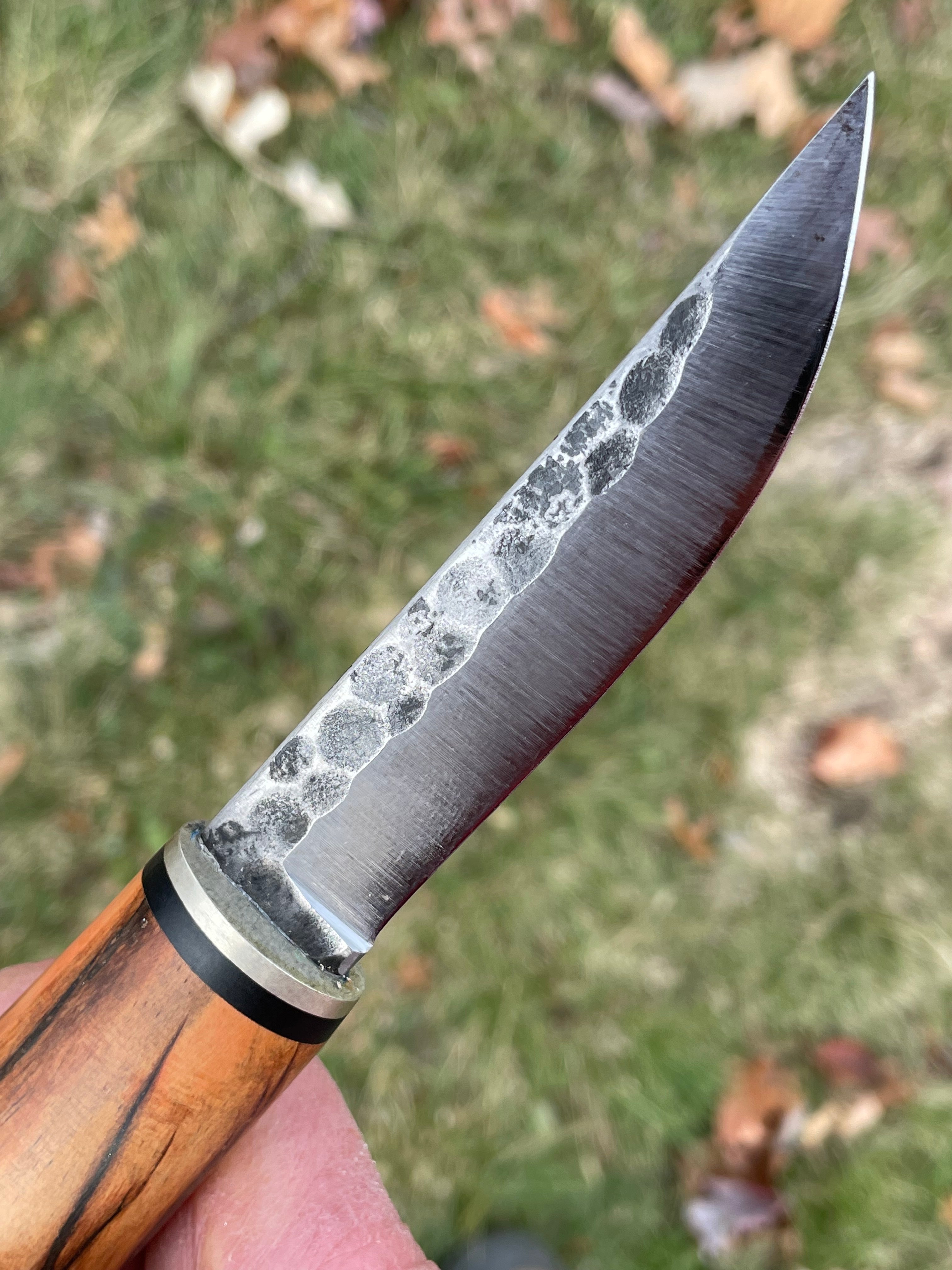 Mad Toad Leathercraft & Knives #6 Bristlecone Pine