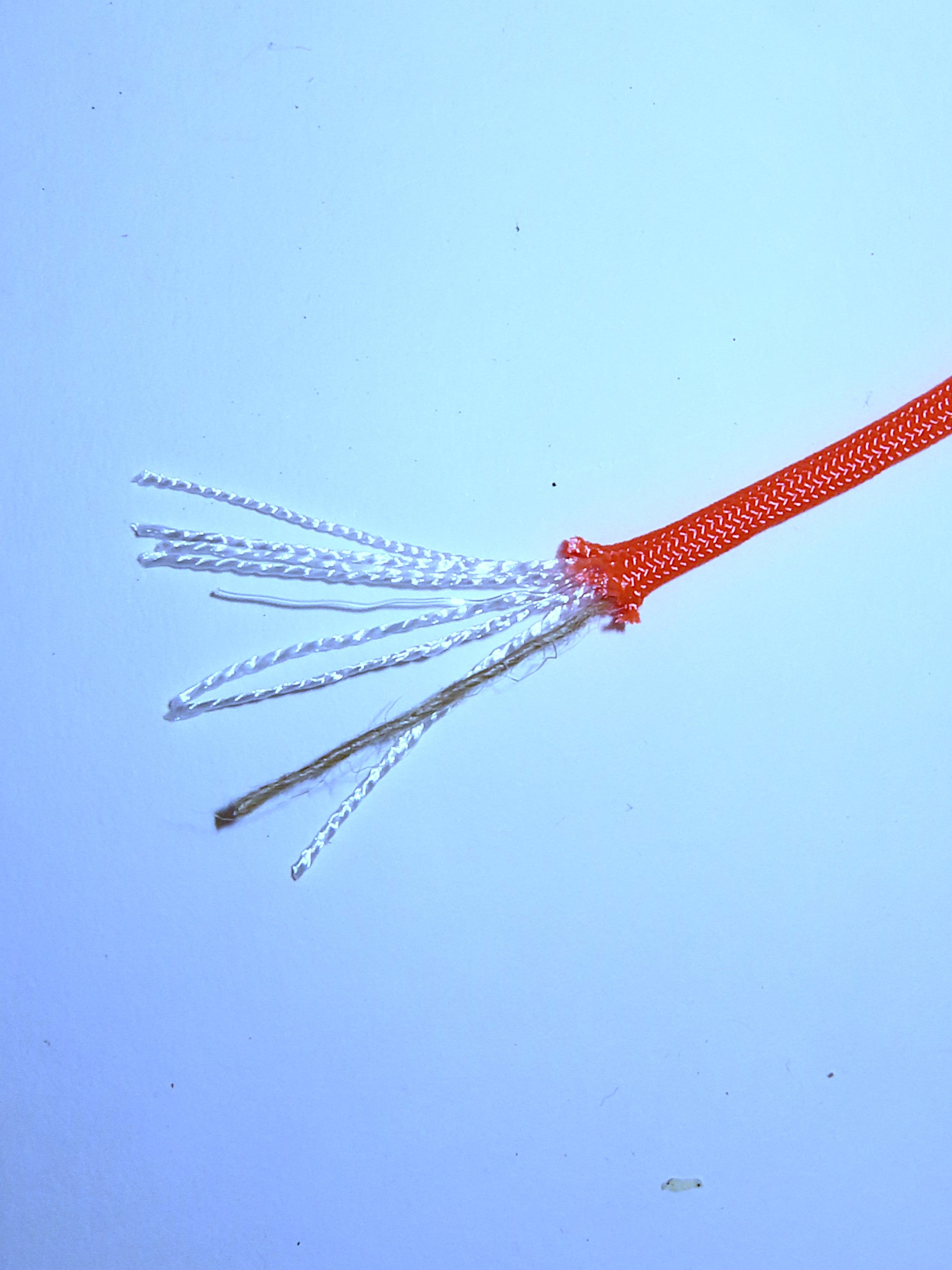 Paracord - 550 Type III Commercial Fish and Fire Survival 100'