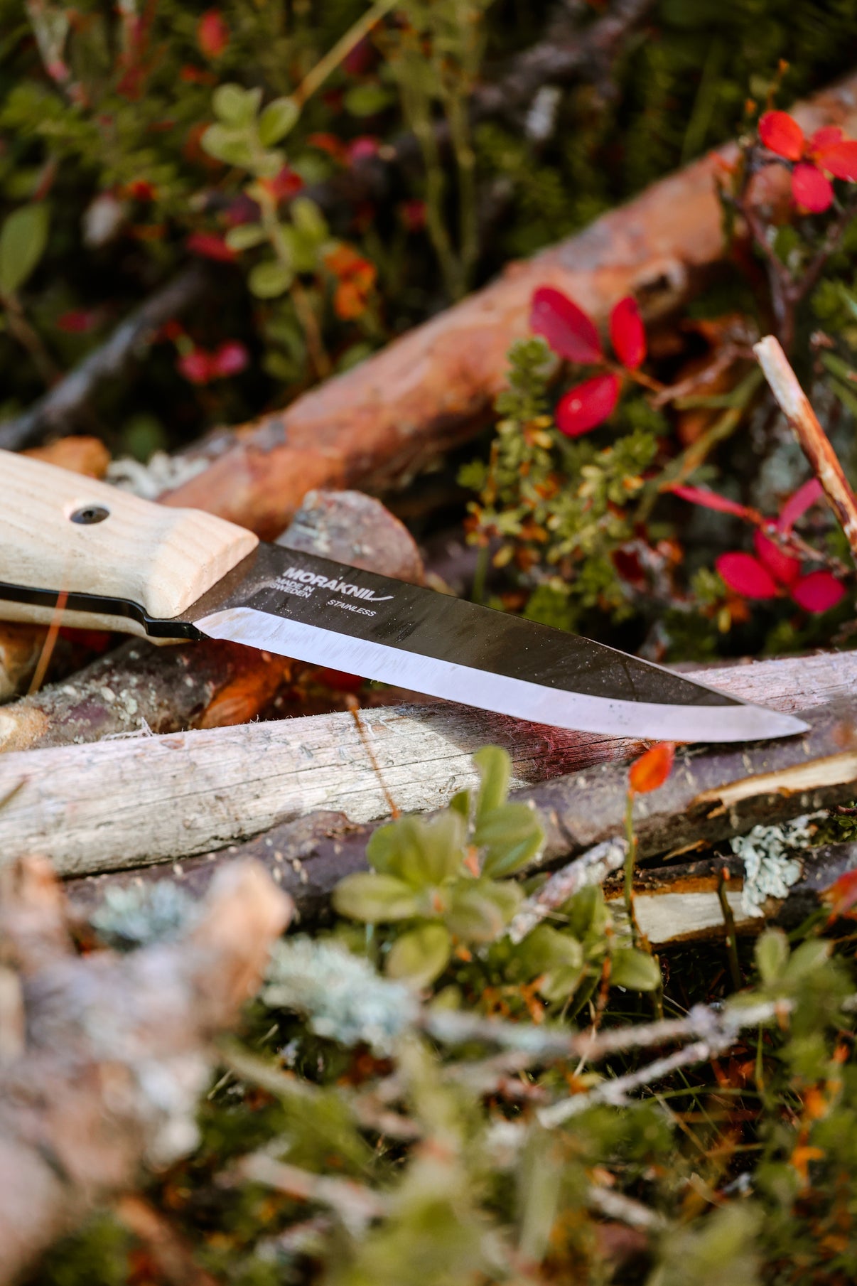 Mora Lok Ash Series 14085 (NEW) Ragweed