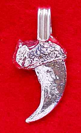 Viking Pendant Jewelry Bear Claw
